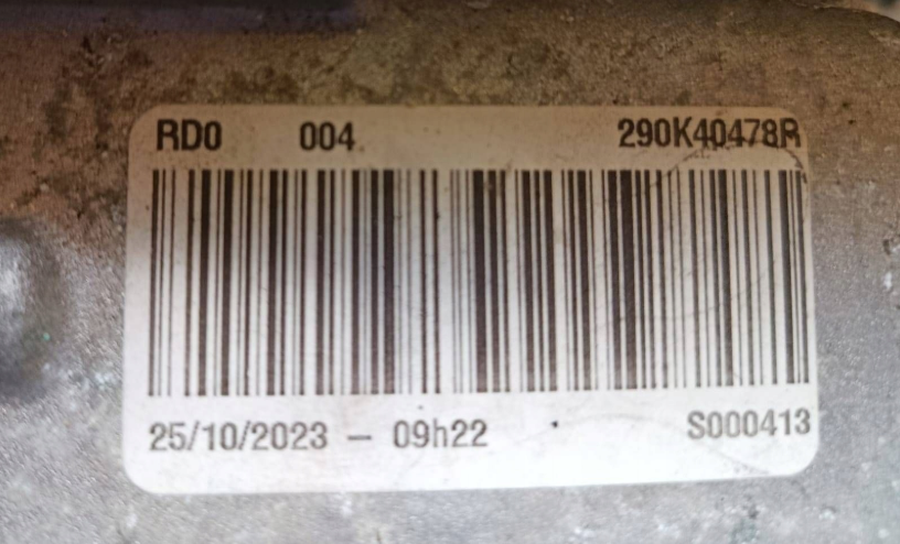 Renault Scenic E-Tech V 6AM406 290038312R El Motor
