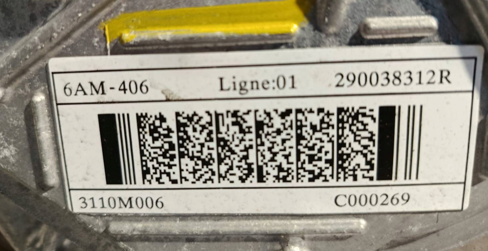 Renault Scenic E-Tech V 6AM406 290038312R El Motor