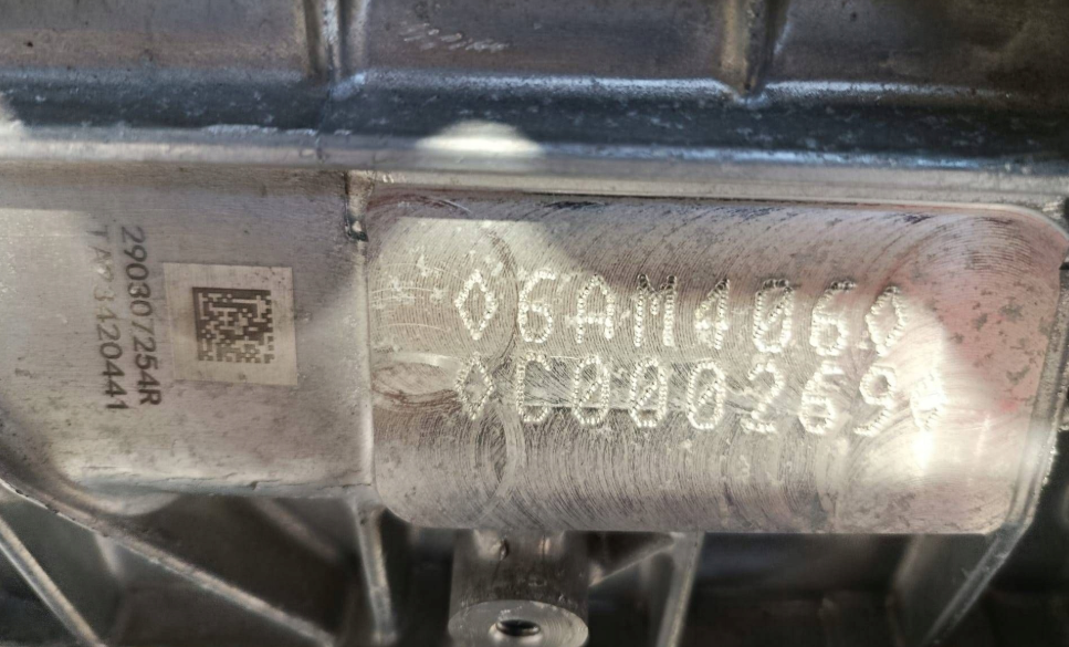 Renault Scenic E-Tech V 6AM406 290038312R El Motor