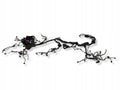 Toyota BZ4X Ledningsnet - 8211542A72