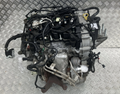 Ford Fiesta MK8 / Puma / Focus  B7JC 2017-2024 Mild Hybrid 2462618