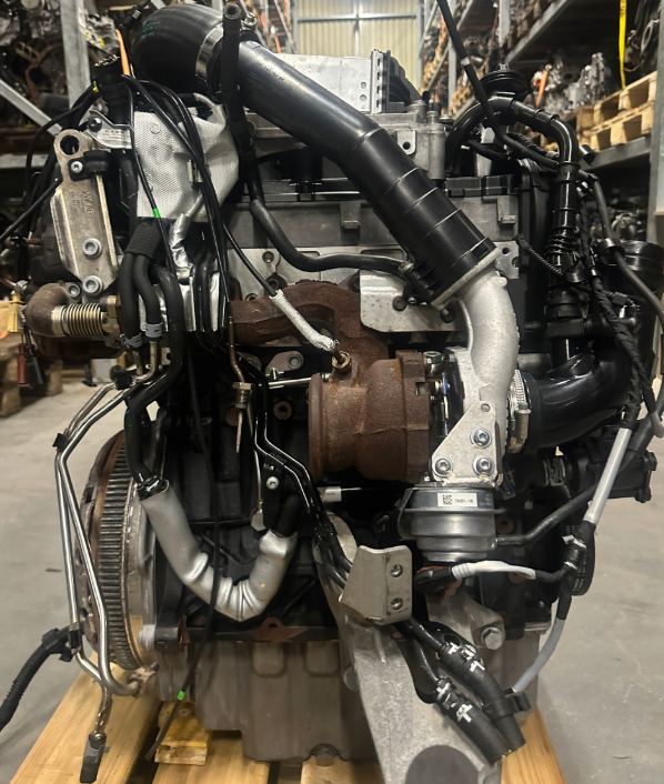 VW Transporter T6 2.0 TDI CXF CXFA CXFC MOTOR komplet