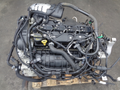 Ford Focus MK3 Ford C-Max / Grand C-Max MK3 Ford Escape / Kuga MK2 1.6 Ecoboost  JQDB